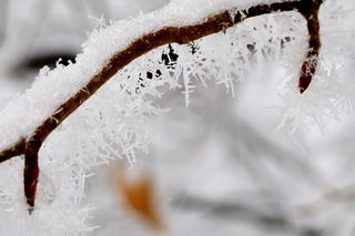 霧氷