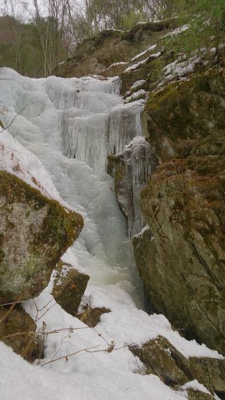 DSC_1476